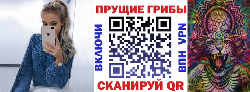 blacksprut как войти  Сочи  Псилоцибиновые грибы Psilocybine cubensis 